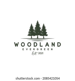Rustic Retro Vintage pine, evergreen, fir, hemlock, spruce, conifer, cedar, coniferous, cypress, larch, pinus trees logo design