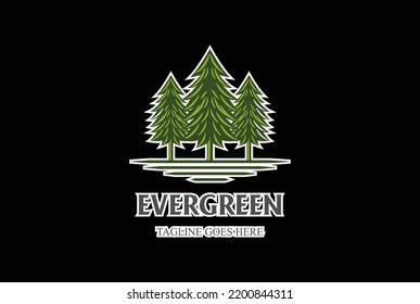 Rustic Retro Vintage Pine Evergreen Fir Hemlock Spruce Conifer Cedar Coniferous Cypress Larch Trees Forest logo design