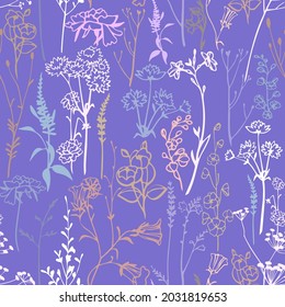 Rustic style seamless pattern. Meadow herbs, plants and flowers isolated.