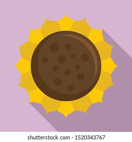 Rustic sunflower icon. Flat illustration of rustic sunflower vector icon for web design