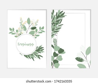 Rustic vintage borders of eucalyptus branches and leaves. Round herbal wreath and rectangle botanical frame vector set. Green, white colors vitage cover templates. Tropical abstract borders.