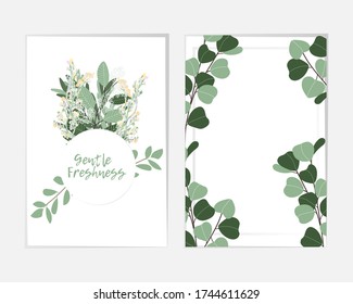 Rustic vintage borders of eucalyptus branches and leaves. Round herbal wreath and rectangle botanical frame vector set. Green, white colors vitage cover templates. Tropical abstract borders.