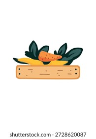 rustic wooden box with fresh organic vegetables set