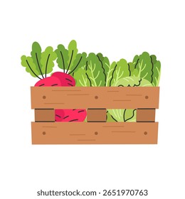 Rustic wooden crate brimming with fresh green leafy vegetables and red radishes. Flat cartoon style vector illustration isolated on white background