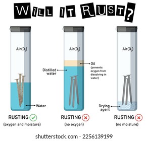 rusting experiment for iron nails at different conditions