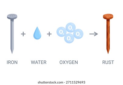 Proceso de oxidación. El clavo de acero ralentiza la oxidación, oxidando la formación de óxido de hierro hidratado. Póster informativo con reacción química, pasos, escena de Vector sapid