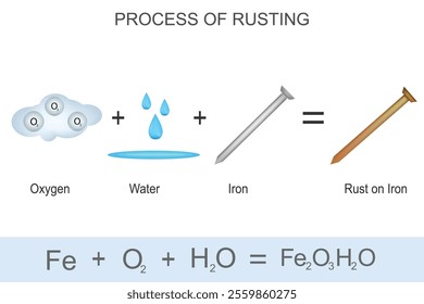 Rusting is the slow oxidation of iron in the presence of water and oxygen, forming hydrated iron oxide (rust), which weakens the metal over time.