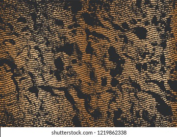 Rusty Scratch Abstract Background. Grunge Textures. Vector illustration.