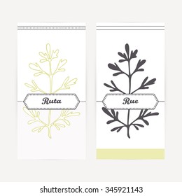 Ruta or rue seasoning. Hand drawn branch with leaves in outline and silhouette style. Spicy herbs retro labels collection for food packaging or kitchen design. Vector illustration