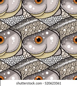 rutilus rutilus pattern