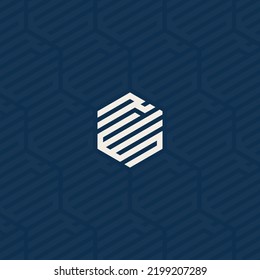 RWS Or RES Hexagonal Logo With Background Pattern Design