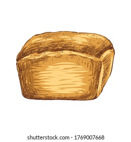 Rye bread isolated on white background. Bakery product. Hand Drawn vector illustration.