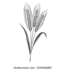 Rye cereal crop plant, glyph icon vector illustration. Cut black silhouette of spikelets rye