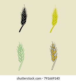 Rye ear icon. Barley or grain signs. Vector illustration. Sketch. Calligraphy.