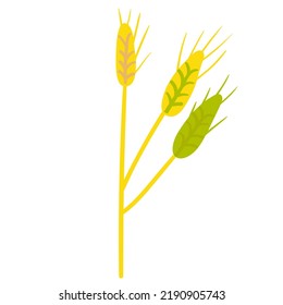 Rye. Flat icon. Vector hand drawn illustration on white background.