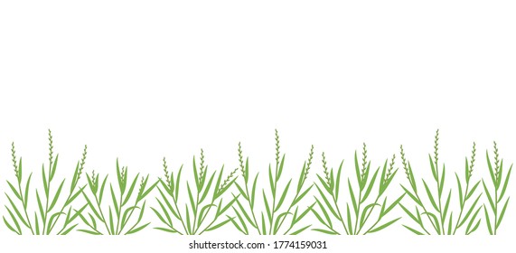 Ryegrass Plant Green Field Horizontal Banner Stock Vector (Royalty Free ...