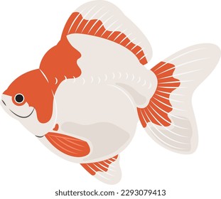 Ryukin Goldfish illustration isolated on white background.