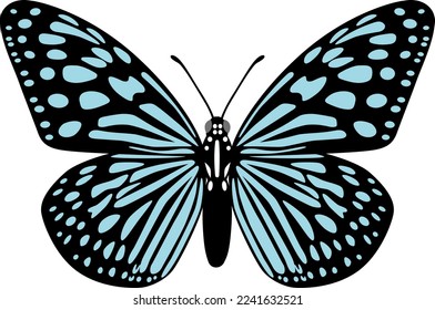 The ryukyu chestnut tiger butterfly isolated on the white background