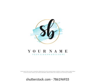 S B Initial Water Color Logo Template Vector