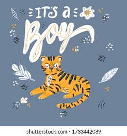 It s a boy. Baby shower celebration. Light blue vector illustration. Tiger