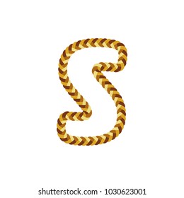 S Braid Letter Logo Icon Design