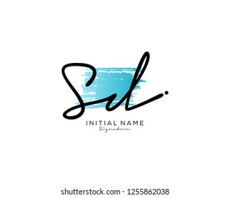 S D Signature initial logo template vector