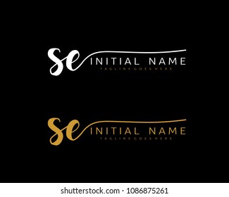 S E Initial handwriting logo vector. Hand lettering for designs.