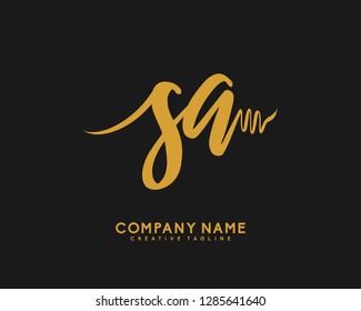 S A Initial Handwriting Logo Template Vector