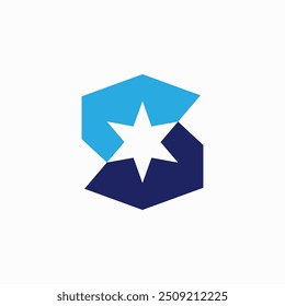 s letter star logo vector icon illustration	