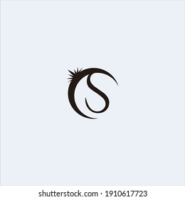 S logo shine. Logo template