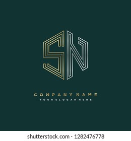 S N initial letter, modern logo design template vector 