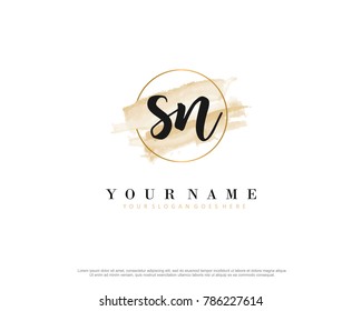 S N Initial Water Color Logo Template Vector