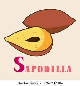 S for sapodilla. Vector Illustration, hand-drawn style.