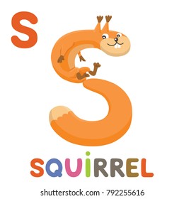 S is for Squirrel. Letter S. Squirrel., cute funny illustration Animal alphabet