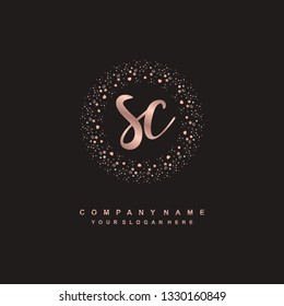 SA initial signature logo. handwriting logo template vector,