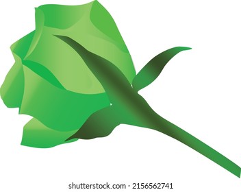 ilustración del vector rosa verde saaheli en fondo blanco