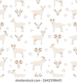 Saanen goat. Goat breeds infographic design. Animal farming flat graphic. Vector illustration