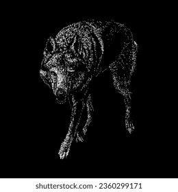 saarloos wolfdog hand drawing vector isolated on black background.