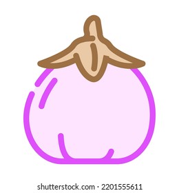 vector de icono del color de la berenjena sabelle. signo de la berenjena sabelle. ilustración de símbolo aislado