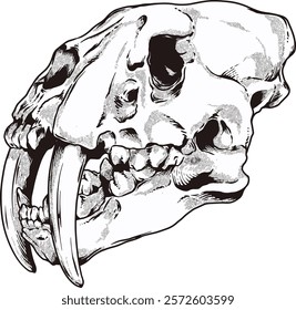 Saber Tooth Skull Digital Hand drawn Line art Sketch Vector illustration black and white