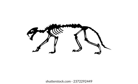 saber tooth tiger skeleton silhouette