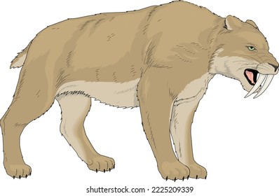 Saber Tooth Tiger Vector Illustration