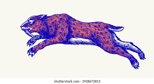 Saber toothed tiger or cat or Smilodon. Prehistoric mammals. Extinct animal. Vintage retro vector illustration. Doodle style. Hand drawn engraved sketch