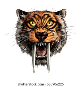 saber-toothed tiger head grins vector color illustration on white background