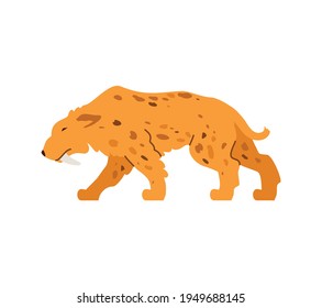 The saber-toothed tiger is a predatory wild animal of prehistoric stone age.