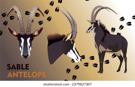 sable antelope animal vector horn