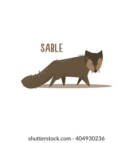 Sable Drawing For Arctic Animals Collection Of Flat Vector Illustration In Creative Style On White Background