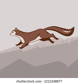 sable or ermine, linear illustration, vector illustration, stylization