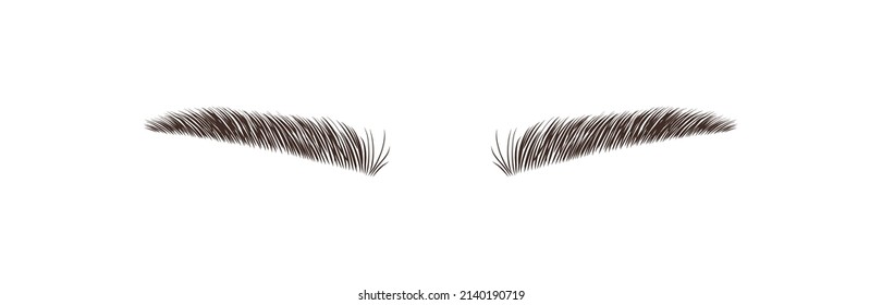 Sable Style Eyebrows. Permanent Make-up And Lamination. Brow Studio Logo. Linear Vector Illustration In Trendy Minimalist Style.