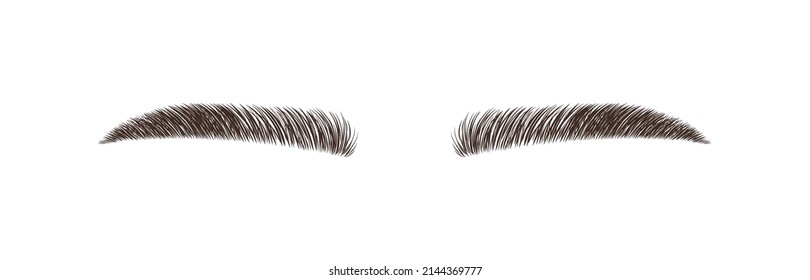 Sable style eyebrows. Permanent make-up and lamination. Brow studio logo. Linear vector Illustration in trendy minimalist style.